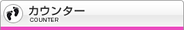 アクセスカウンタ